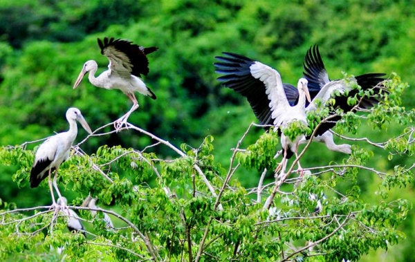 Tour Du Lịch Hà Nội - Động Thiên Hà - Thung Nham Ninh Bình 1 Ngày