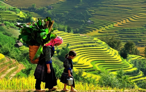 Tour Sapa – Cát Cát – Hàm Rồng – Cổng Trời – Thác Bạc – Trại cá hồi 2 ngày 1 đêm